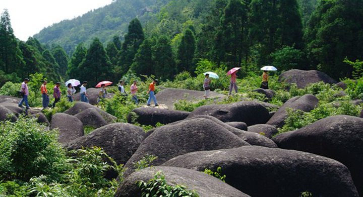 aaaa级景区 玉苍山国家森林公园